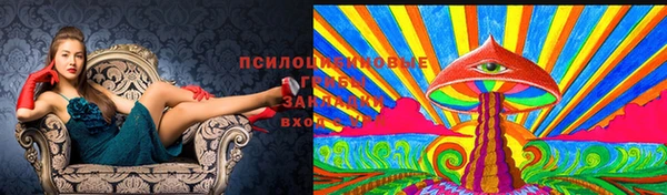 таблы Богородицк