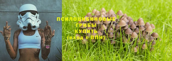 кристаллы Богданович