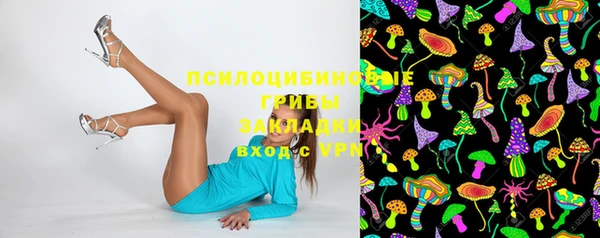 кристаллы Богданович