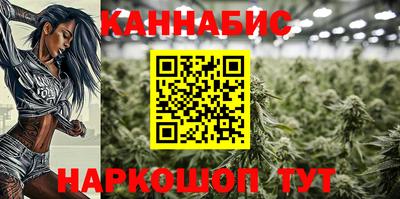 стафф Бийск