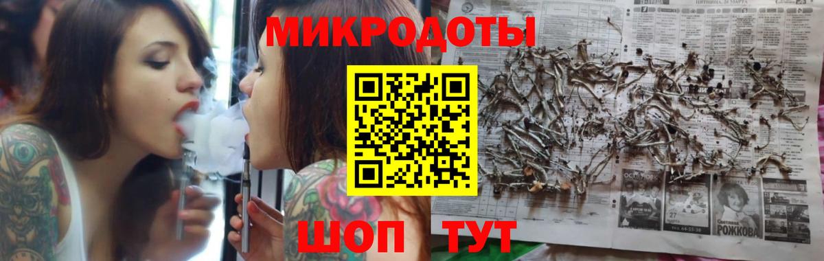 Псилоцибиновые грибы Psilocybine cubensis Благодарный